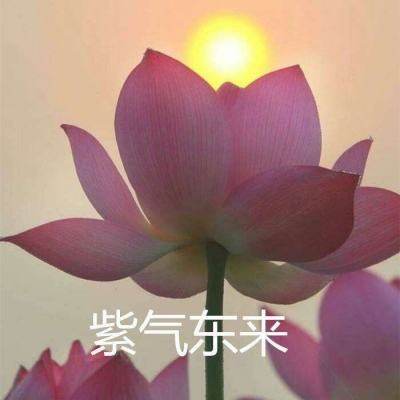 幻世唐门游戏下载
